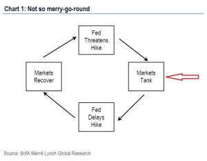 Fed Zyklus